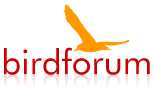 Link to Birdforum