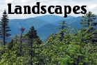 Link to Landscapes gallery