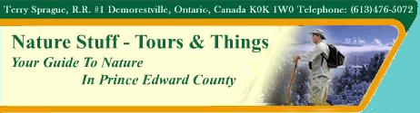 Link to Nature Stuff website