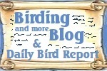 Link to Our Blog