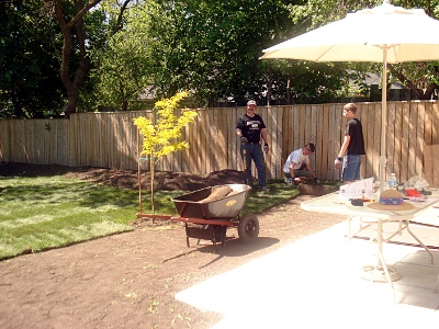 Laying sod