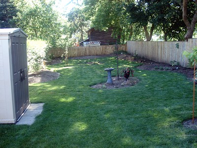Garden, June 2008