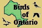 Birds of Ontario