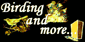 Birding and more Logo